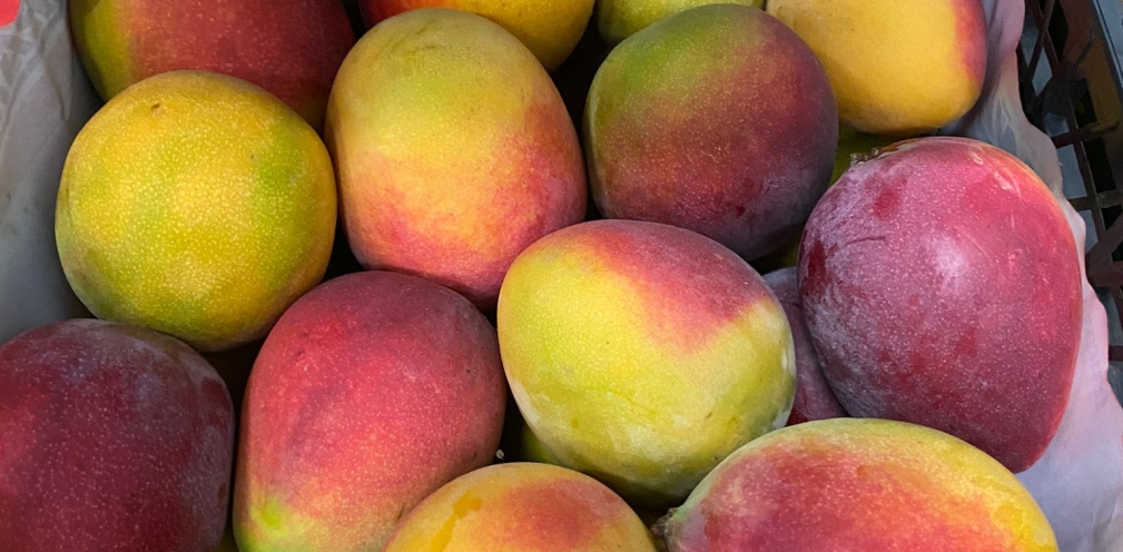 Mangos